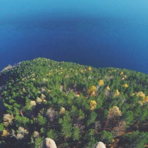 Advanced Carbon Component - Black