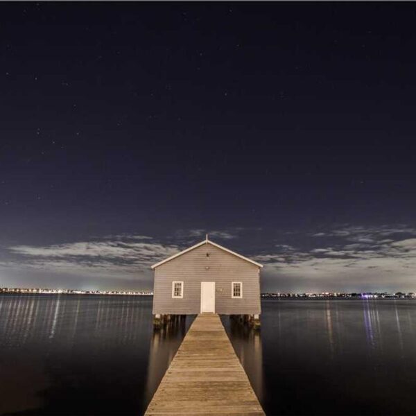 Modern Steel Set - Gold