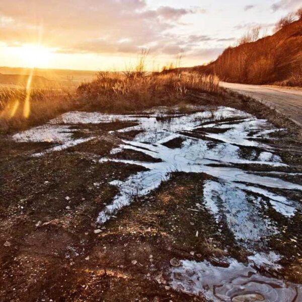 Advanced Carbon Kit - Brown