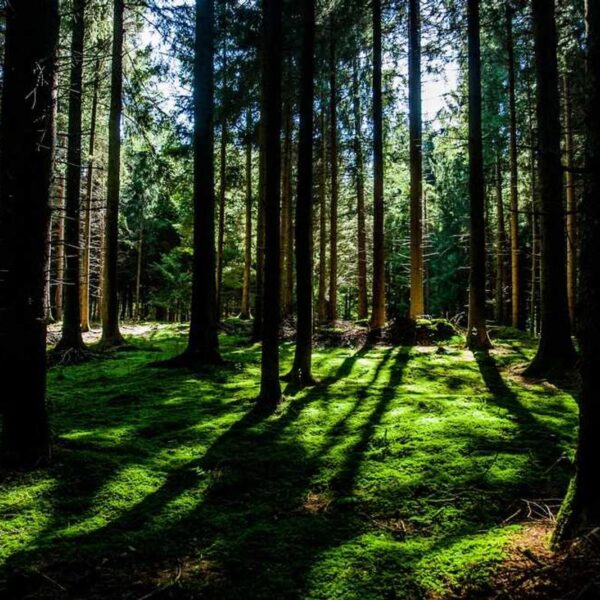 Advanced Aluminum Accessory - White