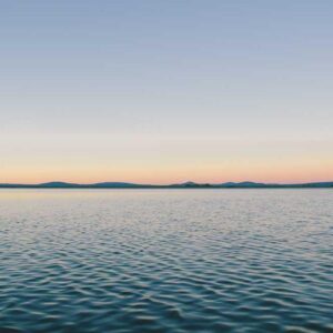 Elite Glass Accessory - Teal