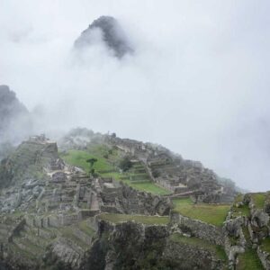 Advanced Copper Equipment - Black