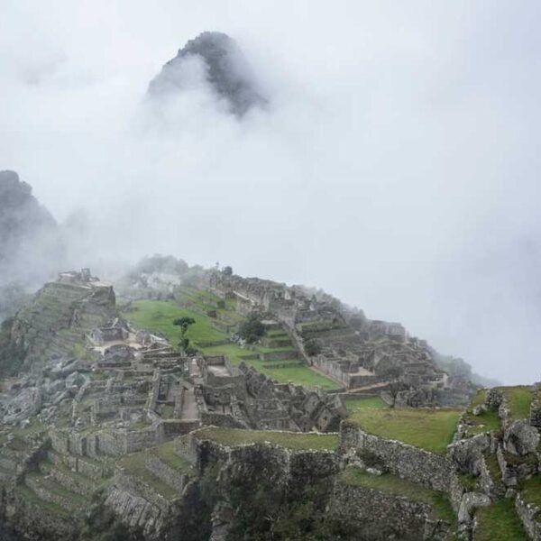 Essential Wood Kit - Orange