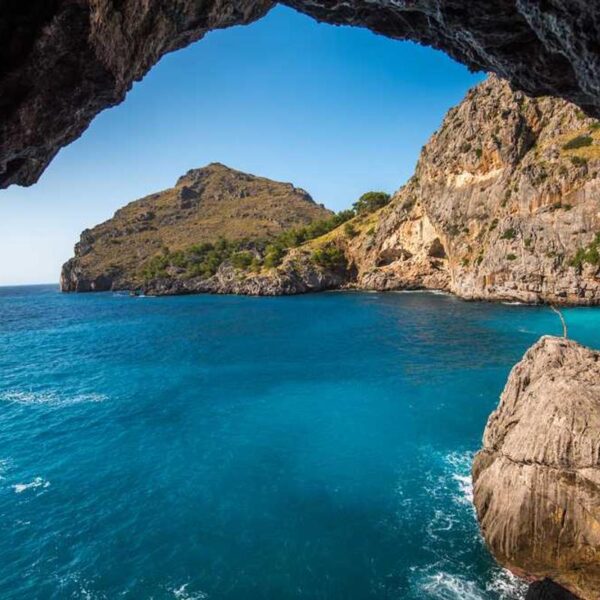 Advanced Copper Widget - Brown