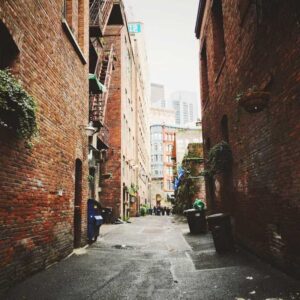 Advanced Bronze Accessory - White