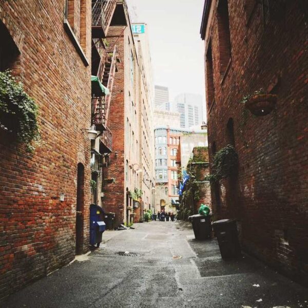 Advanced Aluminum Module - Purple