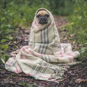 Elite Leather System - Teal