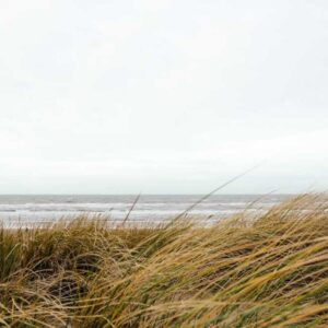 Advanced Bronze Bundle - White