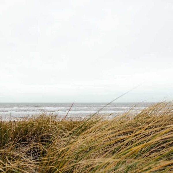 Elite Wood Accessory - Red