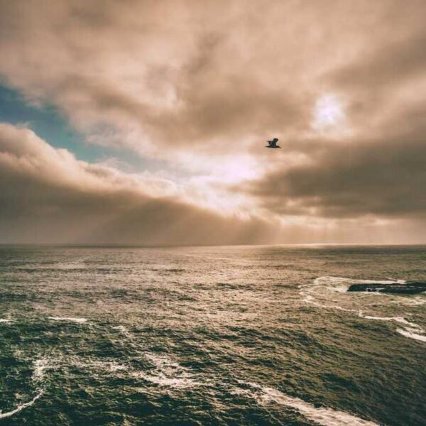 Advanced Aluminum Accessory - Orange